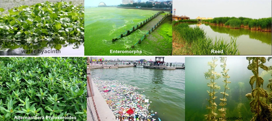 China Water Surface Floating Rubbish Cleaning Boat for Protect Environment